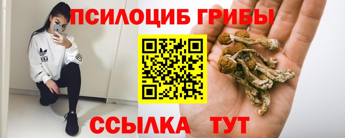 Псилоцибиновые грибы Magic Shrooms  Псилоцибиновые грибы GOLDEN TEACHER  Вход с VPN  Выкса 