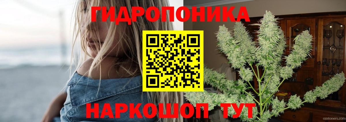 Канабис индика  Вход с VPN  Бошки Шишки ГИДРОПОН  Канабис OG Kush  Выкса 